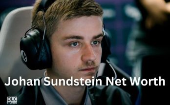 Johan Sundstein Net Worth